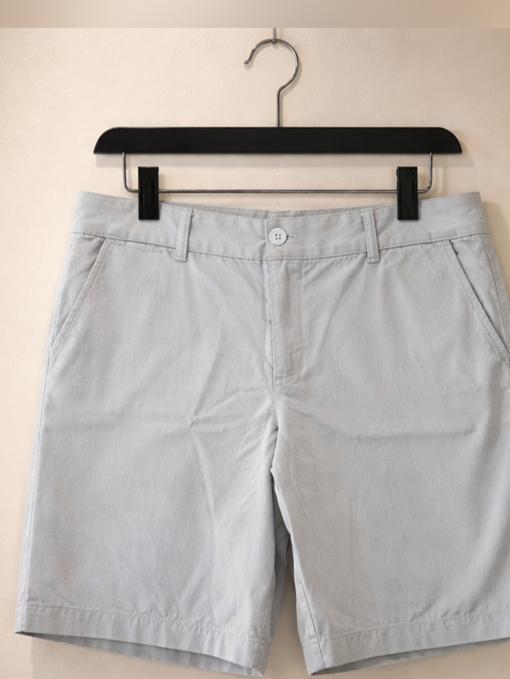 Ann Taylor LOFT Light Blue/Gray Shorts Size 10 ECU